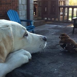 Meet your Posher, Mark